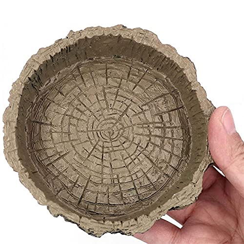 Reptielgerechten, 2 stuks voederbakjes reptielen, reptielen feeder, hagedissen-feeder, voedsel bowl rok, voederplaat… - Afbeelding 6