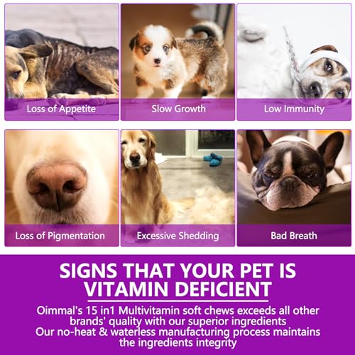 15 in 1 Dog Multivitamin Treats, zur Unterstützung der Gesundheit - Haut, Hüfte und Gelenke, Darmgesundheit, Multivitamin-Kautabletten für Hunde Aller Rassen (30 Kauartikel mit Entengeschmack)