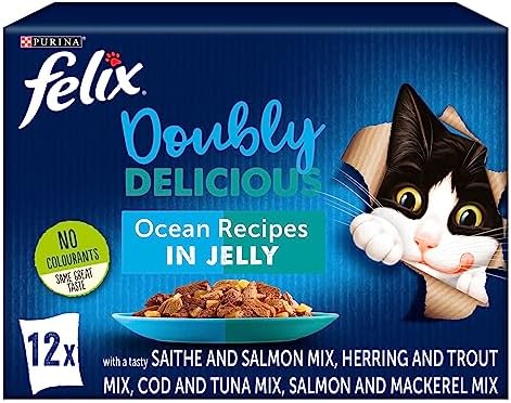 FELIX Doubly Delicious Ocean Recipes Wet Cat Food 12x100g (Pack of 4)