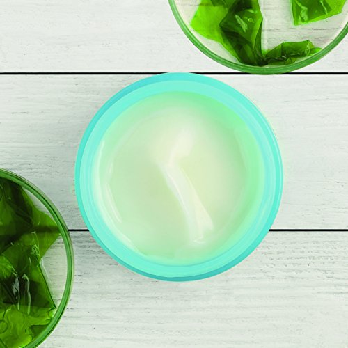 The Body Shop Alghe Trattamento Notte