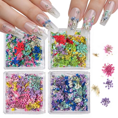 YECIRALA 4 Pack Real Pressed Dried Flowers for Nail Art - Natural Tiny Floral Nail Charms Petals for Manicure, 3D Mini Flower Charms for Nails , Colorful Flower Nail Decorations for DIY Craft & Salon