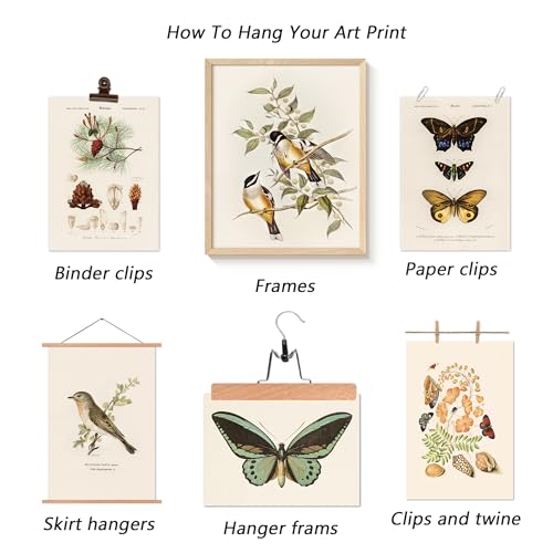 Bzstyleart 12Pcs Vintage Botanical Wall Art thumb #4
