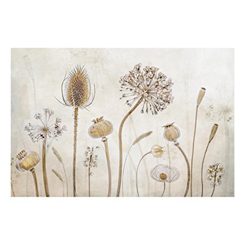 Bilderwelten Paraschizzi in Vetro - Growing Old