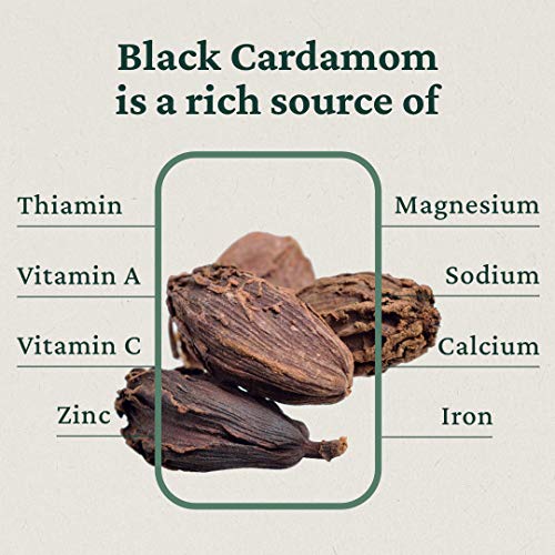 Burma Spice Black Cardamom Pods, Whole Dried Cardamom Pods, Spices For South Asian And Indian Cooking, Smoky Flavor, Ideal As Mulling Spices, Allergen-Free Cardamom Pods, Airtight Fresh Seal #TOP2