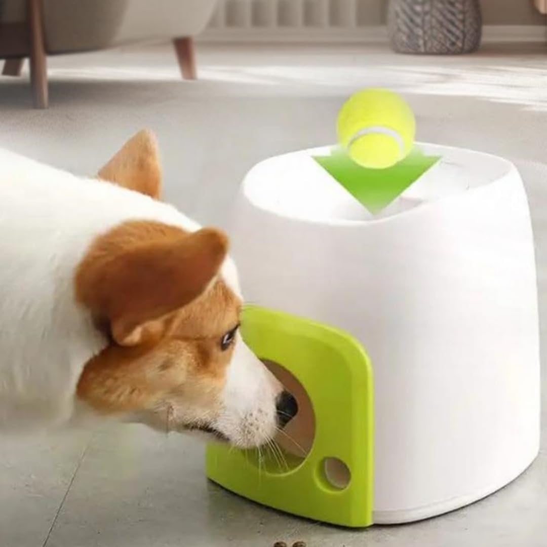 Générique Lanceur Automatique de Balle pour Chien, Lanceur de de Tennis interactif, Jouet Rechargeable pour Chien, Jeu d'entraînement de Stimulation mentale pour intérieur (3 balles de Tennis)