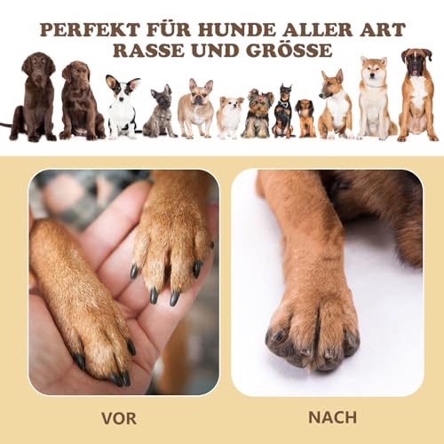 Ykall Krallenschleifer für Hunde – 360° Drehbares Kratzbrett mit Leckerlibox, Stressfreies Nagelfeilenbrett und Kratzpad zur Pfoten- & Krallenpflege, Kratzmatten (Schwarz)