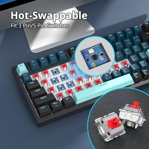 Clavier de jeu mécanique 75% SOLIDEE Monstor avec structure Gasket et boutons