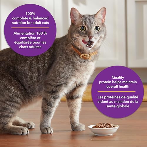 Meow Mix Tenders in Sauce Surf and Turf Favourites Wet Cat Food Variety Pack of Chicken & Beef, Tuna & Salmon, Shrimp & Crab, 78 g (Pack of 12) image 6