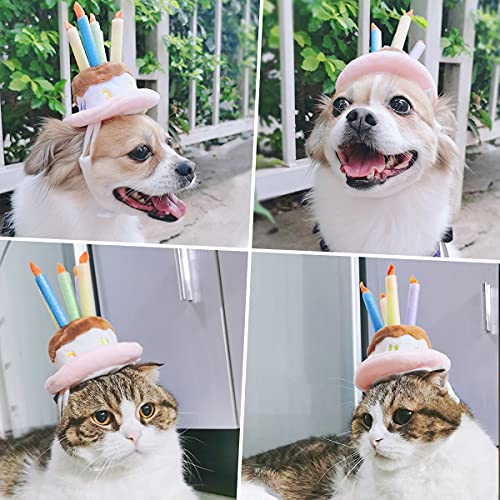 Chapeau d'anniversaire pour chat et petit chien mini coiffe fête - 6