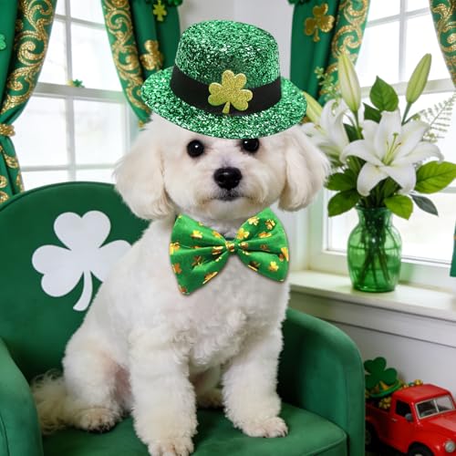 Disfraz Leprechaun de San Patricio para Perros y Gatos miniatura 7