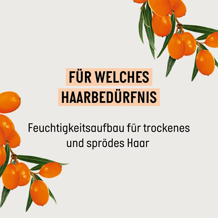 Guhl Frisch & Fruchtig Shampoo - Inhalt: 250 ml - Haartyp: normal