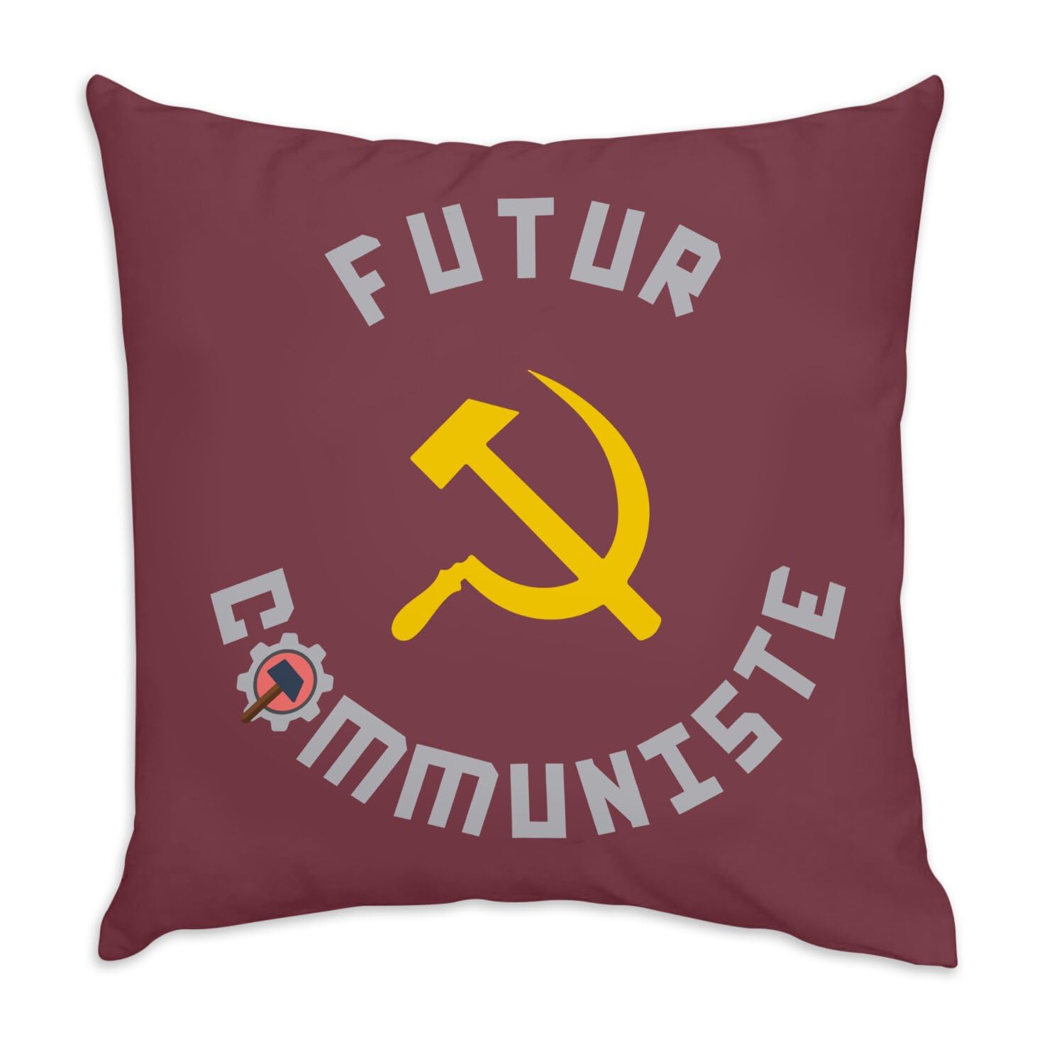 Coussin velours rouge decoration salon pour pimenter vos soirees entre amis avec humour