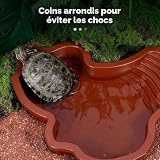 MEISO abreuvoir tortue terrestre à rampe, plat de 35 cm photo 4