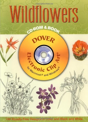 Wildflowers graines de fleurs sauvages pour jardin naturel
