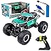 XIZZHI Auto RC in Lega Camion Telecomandato Bigfoot Buggy RC Fuoristrada per Tutti I Terreni Giocattolo Elettrico Ad Alta velocità Scalatore di Pareti A Quattro Ruote Motrici Salita+45°