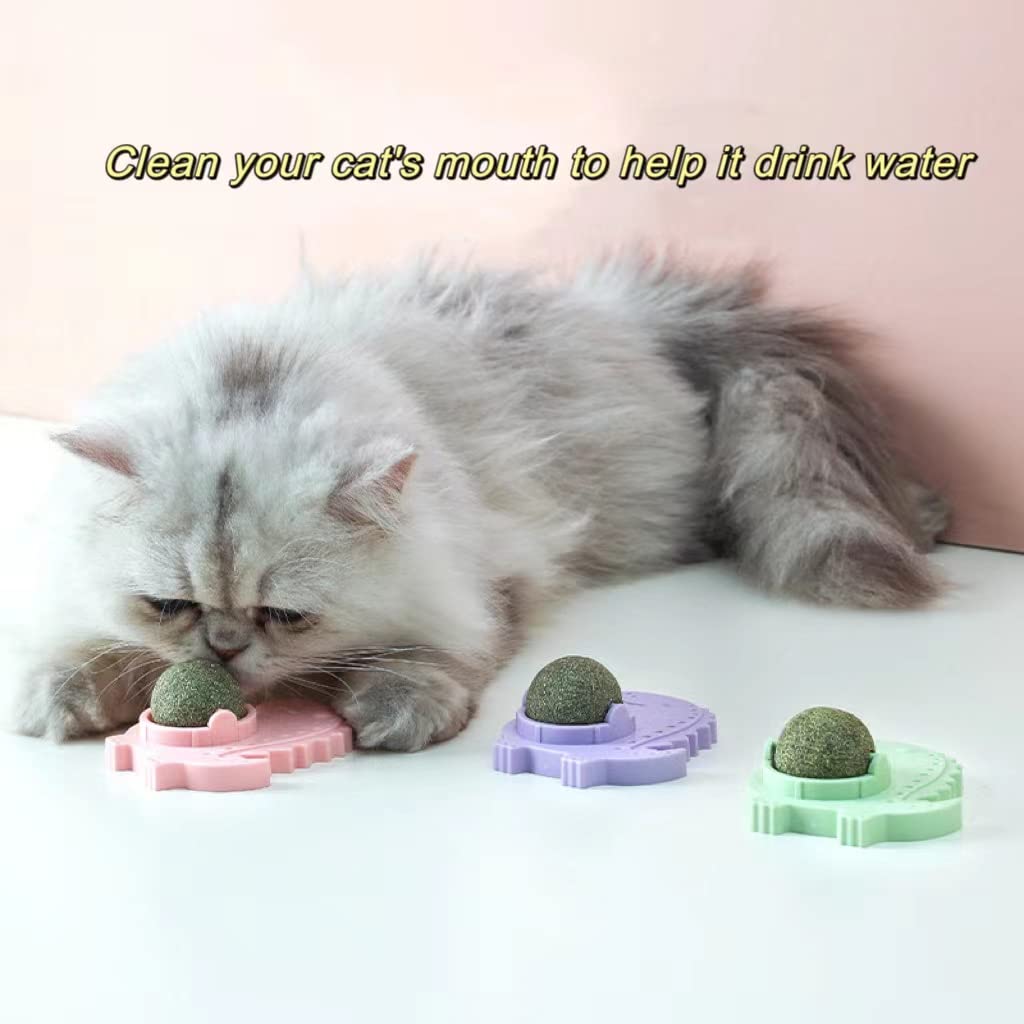 Catnip Toy