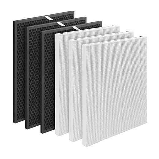 GoKBNY 116130 True HEPA Replacement Filter H Compatible with Winix 5500-2 Purifier and Models AM80, 3-Set Include 3×True HEPA Filters + 3×Activated Carbon Filters
