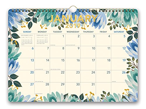 Orange Circle Studio 2019 Deluxe Wall Calendar, August 2018 - December 2019, Flower Power