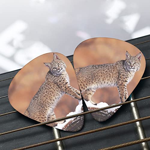 Wild Bobcat Lot de 3 médiators en celluloïd coloré pour guitare basse, amateurs de musique, joueurs de guitare, guitares électriques et acoustiques 0,46 mm, 0,71 mm, 0,96 mm - Les Beatles, Paul McCartney, John Lennon, RIngo Starr, George Harrison Wild Bobcat Lot de 3 médiators en celluloïd coloré pour guitare basse, amateurs de musique, joueurs de guitare, guitares électriques et acoustiques 0,46 mm, 0,71 mm, 0,96 mm – Image 8