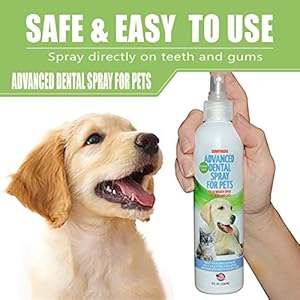 Dog dental spray removes tartar plaque and freshens breath instantly The most advanced dental spray for healthy teeth gums and oral health care for your dog cat or pet  1 8 oz Bottle   cucciolini doodles