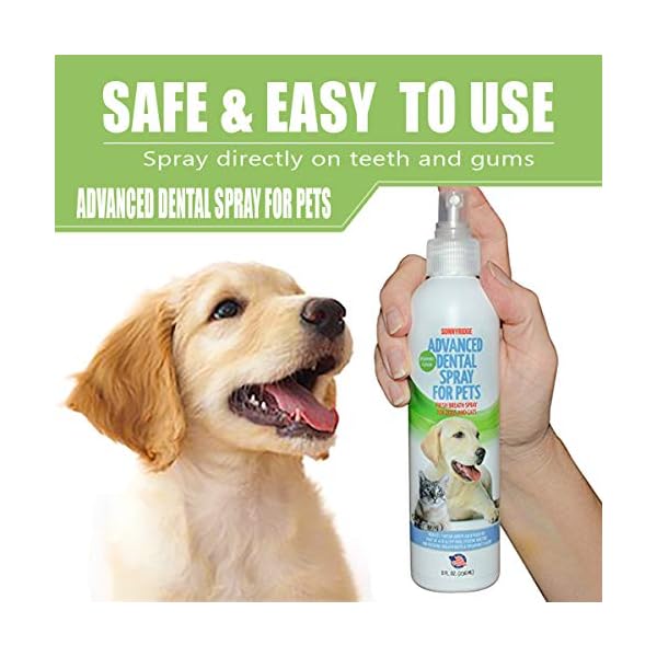 Sonnyridge Dog Dental Spray Removes Tartar, Plaque and Freshens Breath Instantly. The Most Advanced Dental Spray for Healthy Teeth, Gums and Oral Health Care for Your Dog, Cat or Pet – 1- 8 oz. bottle Sonnyridge Dog Dental Spray Removes Tartar, Plaque and Freshens Breath Instantly. The Most Advanced Dental Spray for Healthy Teeth, Gums and Oral Health Care for Your Dog, Cat or Pet – 1- 8 oz. bottle