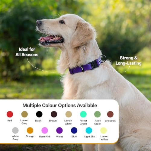 Image of Adil's Biothane Waterproof Dog Collar, Dog Leash & Collar Leash Combo | Heavy Duty TPU Coated Webbing | Adjustable Quick Release Buckle | Odour Resistant (Purple, L-22, Collar Only)