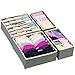 RANJIMA Organizzatore Cassetti, Cassetti Organizer per Biancheria Intima, Pieghevole Scatola a Scomparti, Organizer Cassetti Bambini, Storage Box per Reggiseni, Calze, Fazzoletti e Cravatte,Grigio