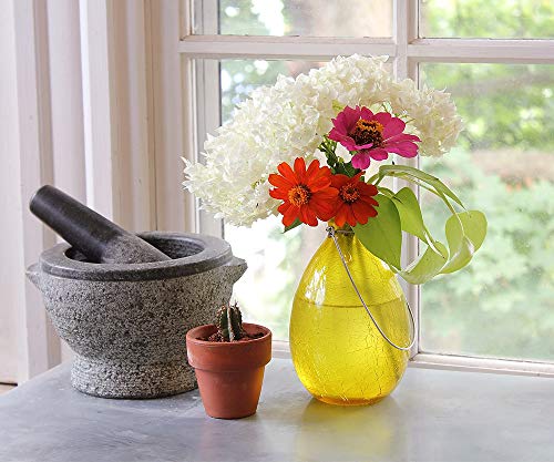 Achla Designs Sv-01Y, Yellow Hanging Glass Flower Planter/Rooting Vase-Teardrop Shaped #TOP4