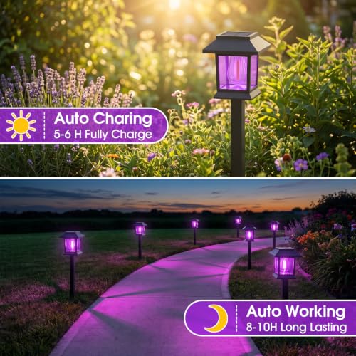 Image of Greluna Solar Lights Outdoor,12 Pack Purple Waterproof Auto On /Off Solar Pathway Lights for Your Garden, Landscape, Path, Yard, Patio, Driveway,Walkway Halloween Decor