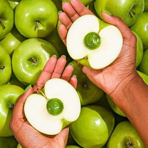 Suckerz Hard Candy (3 Pack), Mouth Watering Flavors - Watermelon, Raspberry & Green Apple, 92% Less Sugar, No Sugar Alcohols, Individually Wrapped Hard Candies, Infused W/Vitamin C #TOP5