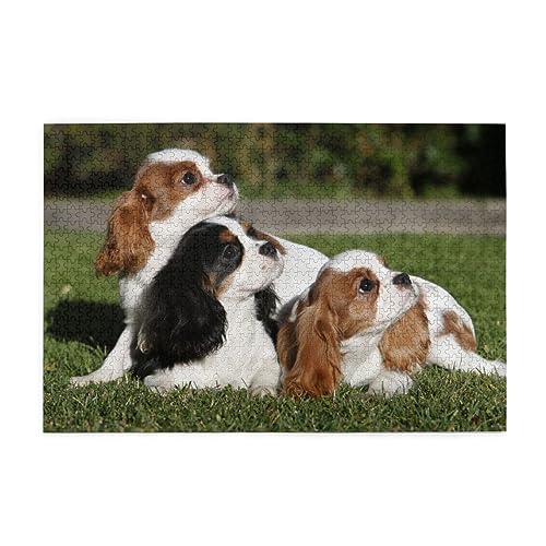 XpjGi10j 1000s[X WO\[pY l jЂȂ J`ƃn} a  CeA MtgnEX i75×50cmj