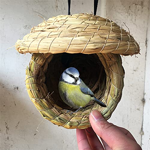 HJHIWE - Nido per uccelli in paglia ecologica, per...