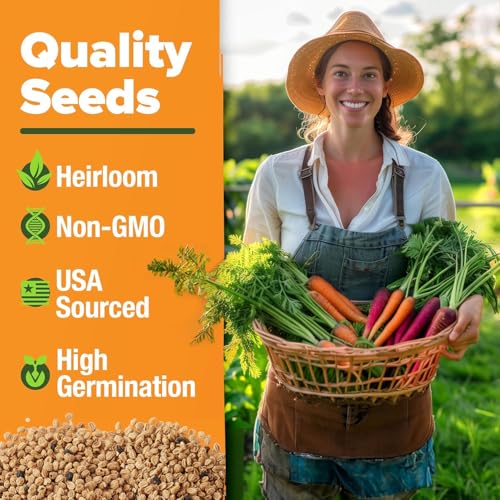 Image of HOME GROWN Rainbow Carrot Seeds 10 Variety Mix 3350+ Heirloom Non-GMO Seeds for Planting, High Germination, Multi-Color Gourmet Root Vegetables, Kids Garden, Crunchy Fresh Eating (Daucus carota)