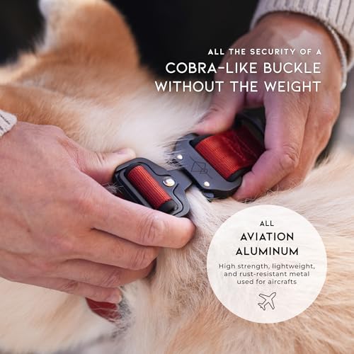 Collier en nylon réglable avec support Airtag pour chiens de toutes tailles Utah - 5