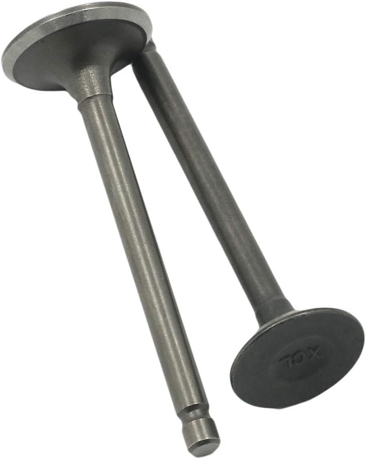 EXHAUST VALVES RAPTOR 80,CHAMP 100 ENGINE HEAD INTAKE YAMAHA MOTO4