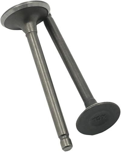 Miniatura 3 de AUTOVIC Juego de válvulas de escape de admisión para Yamaha ATV Badger Realtree Hunter Champ Raptor YFM80R YFM80W YFM100 Reemplazar 22K-12111-03-00