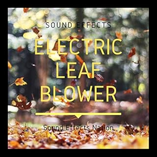 Electric Leaf Blower Sound Effects