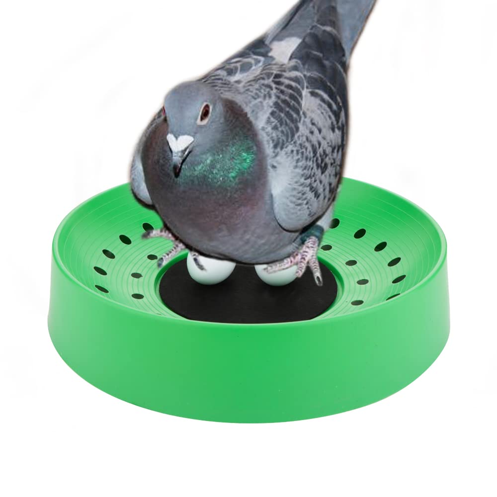 VTurboWay Lot de 6 nids à pigeons en plastique pour petits oiseaux (Bleu et Vert)