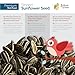Schoen Farms Striped Sunflower Seeds – Hulled Bird Food – 5 lb Bag – No-Mess Wild Bird Seed for Cardinals, Jays & Finches – Canadian Grown