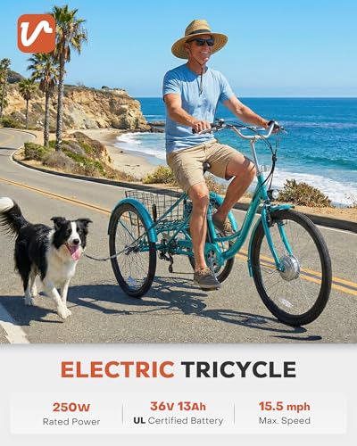 VIRIBUS Electric Tricycle for Senior