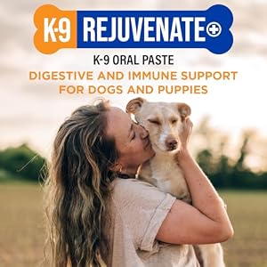 K9 Rejuvenate+ Canine Oral Paste (60g Oral Syringe, Pack of 1) Digestive and Immune Support for Dogs - Dog Supplements for Digestion K9 Rejuvenate+ Canine Oral Paste (60g Oral Syringe, Pack of 1) Digestive and Immune Support for Dogs – Dog Supplements for Digestion