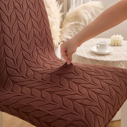 Image of HOMETHREADS Stretchable Elastic Jacquard Chair Seat Cover - Removable & Washable, Durable Seat Protector for Dining Room, Kitchen, Restaurant & Party Chairs (Brown, Pack of 2)