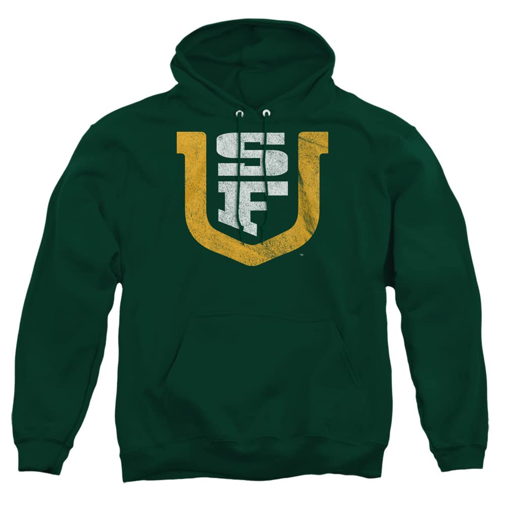 LOGOVISION Official Collegiate Distressed Primary Logo Adult Pullover Hoodie Collection — view 332