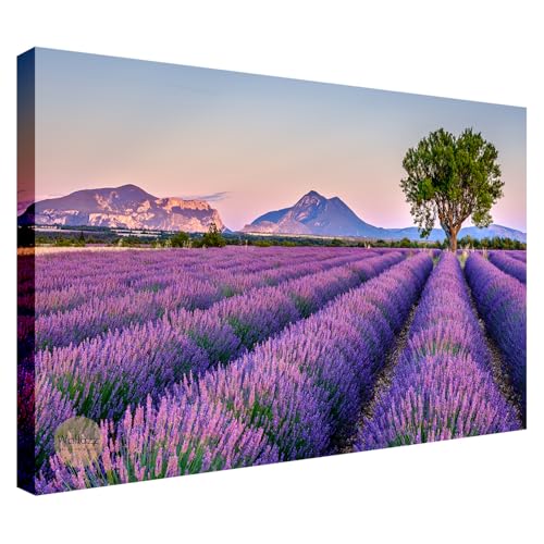 Wallazz Quadri Moderni Soggiorno Paesaggio di campagna, Fiori - 100% Made in Italy - Stampa HD su Tela Canvas - Quadro Camera da Letto - Qualità Artigianale - 50x100cm Wallazz Quadri Moderni Soggiorno Paesaggio di campagna, Fiori - 100% Made in Italy - Stampa HD su Tela Canvas - Quadro Camera da Letto - Qualità Artigianale - 50x100cm