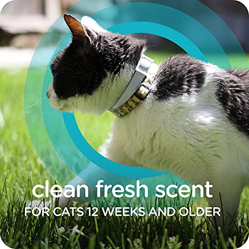 Sergeant's Guardian Pro Flea & Tick Cat Collar, 1 Count #TOP5
