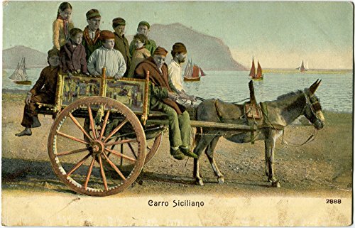 1911 Catania - Tradizionale carro siciliano con asino, mare - FP COL VG ANIM Cartolina Postale