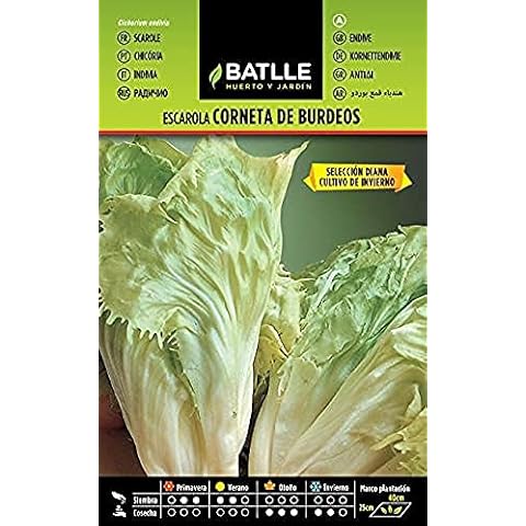 Batlle vegetable seeds - Escarole corneta de Burdeos (6000 Seeds) Cover