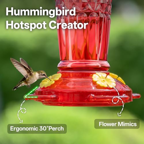Plastic Hummingbird Feeders for Outdoors Hanging, 2 Pack 14OZ Ant & Bee Proof Humming Bird Feeder, 4 Feeding Ports Leak Proof Hummingbird Feeder for Outside Garden Decor, Red - Image 6