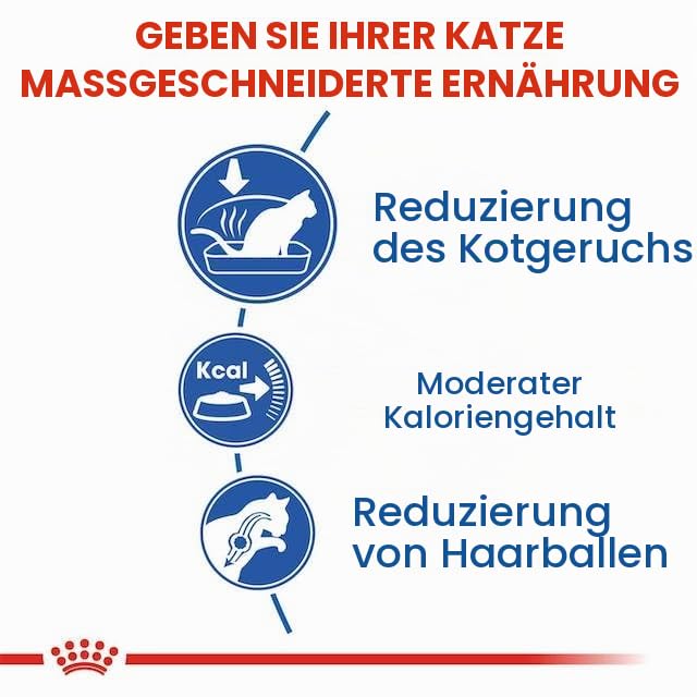 ROYAL CANIN Indoor 27 | 3er Pack | 3 x 400 g | Trockenfutter für Wohnungskatzen bis 7 Jahre | Mit angepasstem Energiegehalt | Zur Unterstützung und Förderung der Verdauung