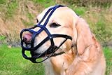 Trixie Muzzle, Bridle Leather, Large, Black (Snout: 26 Cm, Head: 19 Cm - Example: Boxer)